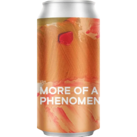 Birra Boundary More Of A Phenomenon - 6% - Lattina 0,44 Lt