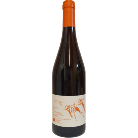 Vino Tricot Rouge Pinot - 13% - 0,75 Lt